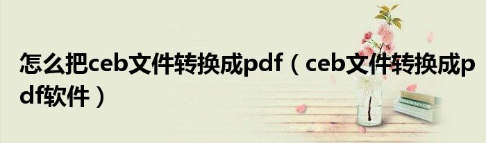 怎么把ceb文件转换成pdf（ceb文件转换成pdf软件）