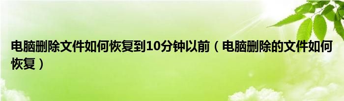 电脑删除文件如何恢复到10分钟以前（电脑删除的文件如何恢复）