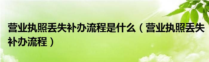 营业执照丢失补办流程是什么（营业执照丢失补办流程）