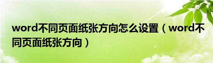 word不同页面纸张方向怎么设置（word不同页面纸张方向）