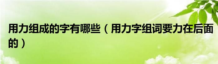 用力组成的字有哪些（用力字组词要力在后面的）