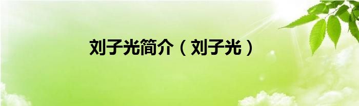 刘子光简介（刘子光）