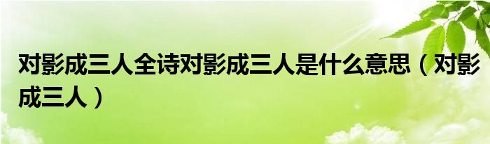 对影成三人全诗对影成三人是什么意思（对影成三人）