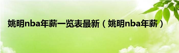 姚明nba年薪一览表最新（姚明nba年薪）