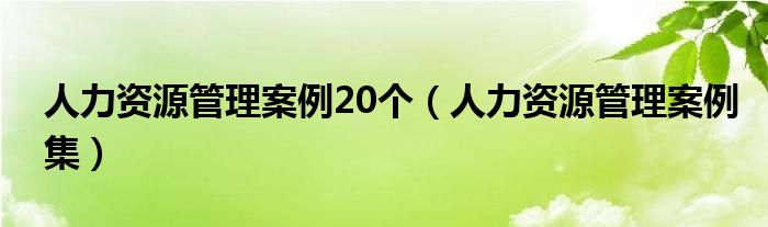 人力资源管理案例20个（人力资源管理案例集）