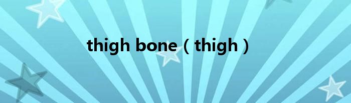 thigh bone（thigh）