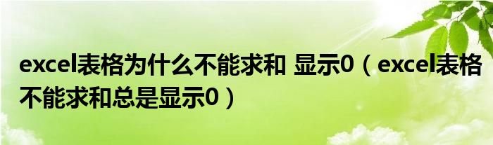 excel表格为什么不能求和 显示0（excel表格不能求和总是显示0）