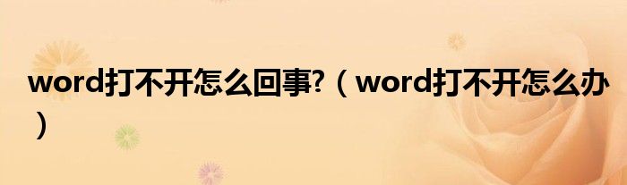 word打不开怎么回事?（word打不开怎么办）