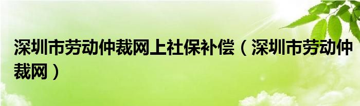 深圳市劳动仲裁网上社保补偿（深圳市劳动仲裁网）