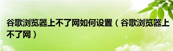 谷歌浏览器上不了网如何设置（谷歌浏览器上不了网）