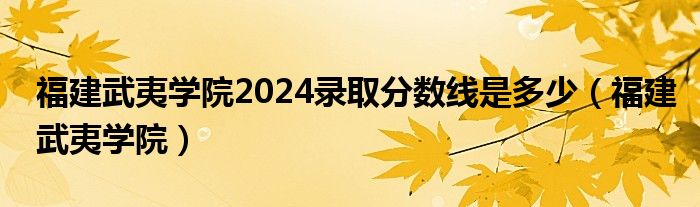 福建武夷学院2024录取分数线是多少（福建武夷学院）