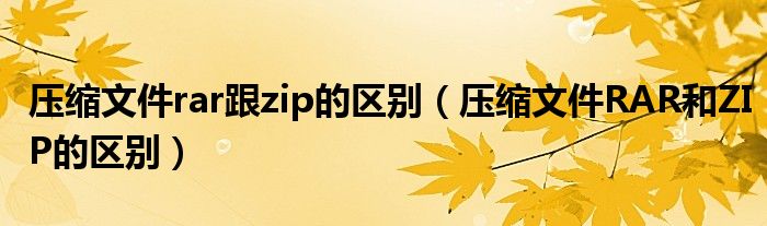 压缩文件rar跟zip的区别（压缩文件RAR和ZIP的区别）