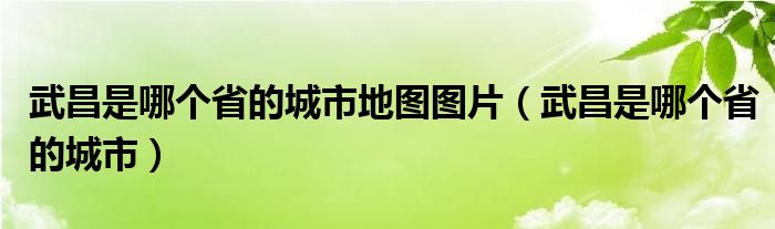 武昌是哪个省的城市地图图片（武昌是哪个省的城市）