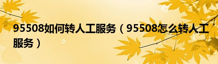 95508如何转人工服务（95508怎么转人工服务）