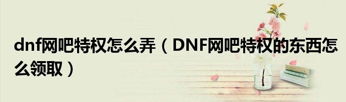 dnf网吧特权怎么弄（DNF网吧特权的东西怎么领取）