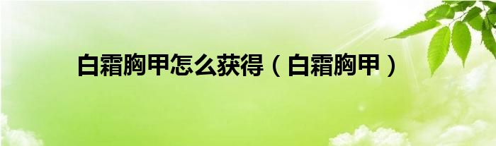 白霜胸甲怎么获得（白霜胸甲）