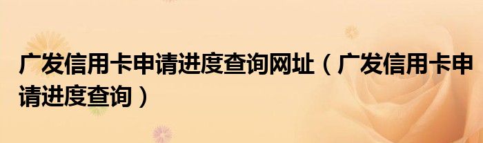 广发信用卡申请进度查询网址（广发信用卡申请进度查询）