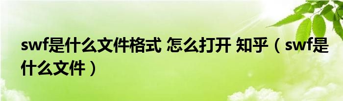 swf是什么文件格式 怎么打开 知乎（swf是什么文件）