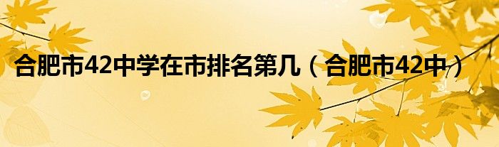 合肥市42中学在市排名第几（合肥市42中）