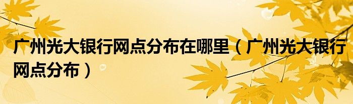 广州光大银行网点分布在哪里（广州光大银行网点分布）