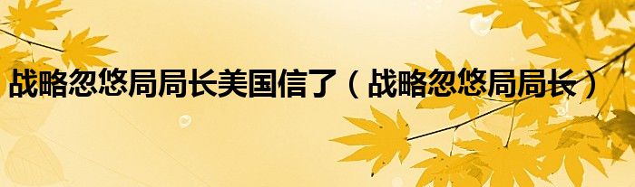 战略忽悠局局长美国信了（战略忽悠局局长）