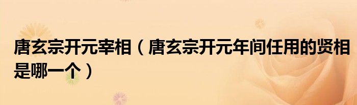 唐玄宗开元宰相（唐玄宗开元年间任用的贤相是哪一个）