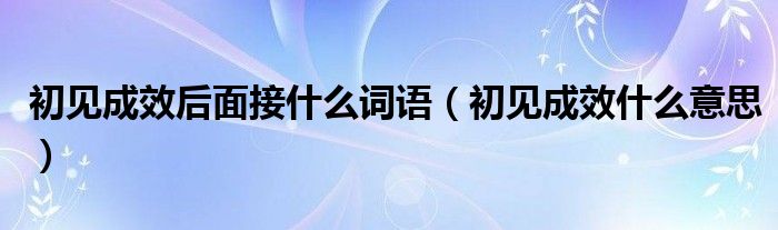 初见成效后面接什么词语（初见成效什么意思）