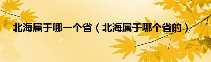 北海属于哪一个省（北海属于哪个省的）