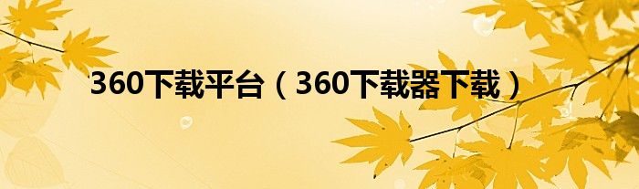 360下载平台（360下载器下载）