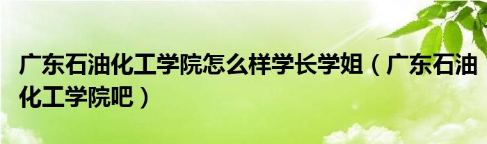 广东石油化工学院怎么样学长学姐（广东石油化工学院吧）