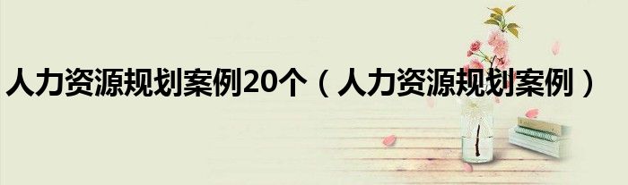 人力资源规划案例20个（人力资源规划案例）