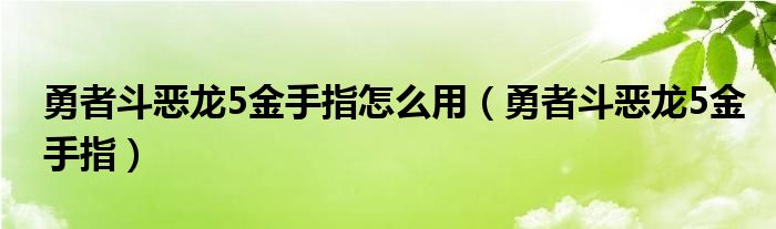 勇者斗恶龙5金手指怎么用（勇者斗恶龙5金手指）