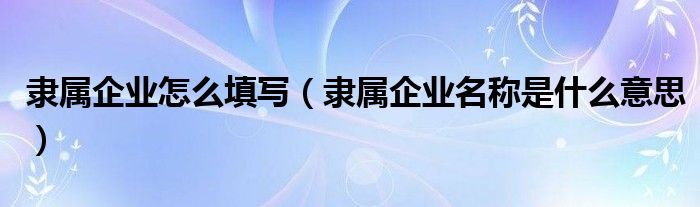 隶属企业怎么填写（隶属企业名称是什么意思）