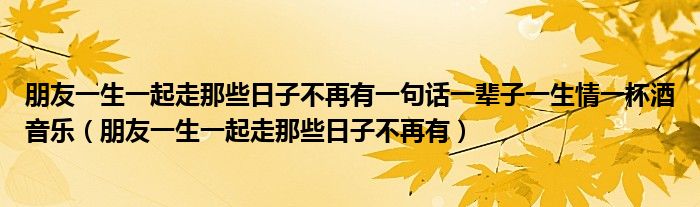 朋友一生一起走那些日子不再有一句话一辈子一生情一杯酒音乐（朋友一生一起走那些日子不再有）