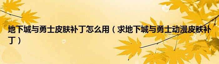 地下城与勇士皮肤补丁怎么用（求地下城与勇士动漫皮肤补丁）