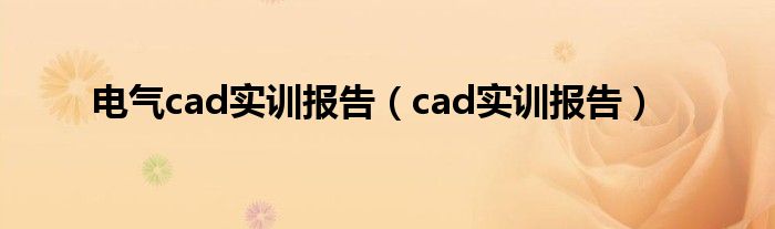 电气cad实训报告（cad实训报告）