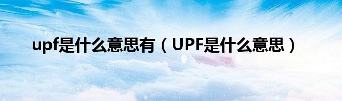 upf是什么意思有（UPF是什么意思）