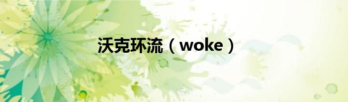 沃克环流（woke）