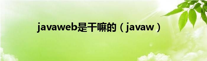 javaweb是干嘛的（javaw）