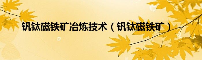 钒钛磁铁矿冶炼技术（钒钛磁铁矿）