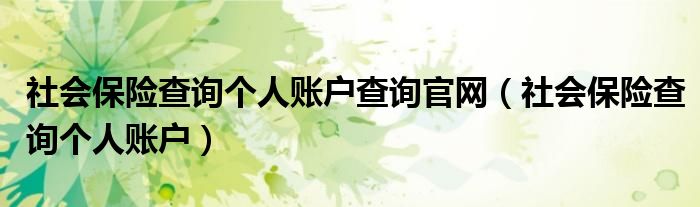 社会保险查询个人账户查询官网（社会保险查询个人账户）