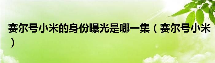 赛尔号小米的身份曝光是哪一集（赛尔号小米）