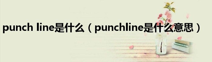 punch line是什么（punchline是什么意思）