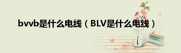 bvvb是什么电线（BLV是什么电线）