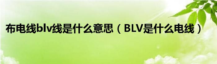 布电线blv线是什么意思（BLV是什么电线）