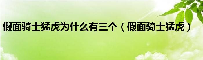 假面骑士猛虎为什么有三个（假面骑士猛虎）