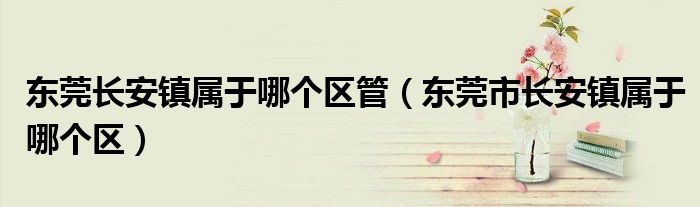 东莞长安镇属于哪个区管（东莞市长安镇属于哪个区）