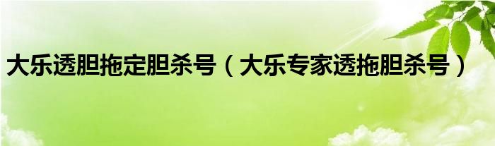 大乐透胆拖定胆杀号（大乐专家透拖胆杀号）