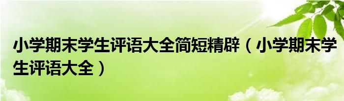 小学期末学生评语大全简短精辟（小学期末学生评语大全）