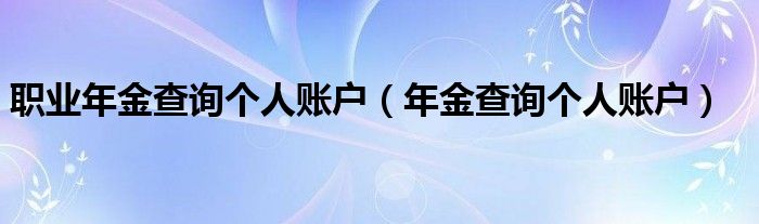 职业年金查询个人账户（年金查询个人账户）